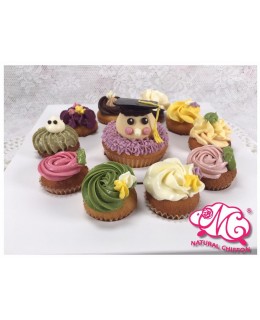 畢業BB生1大10小Cupcake