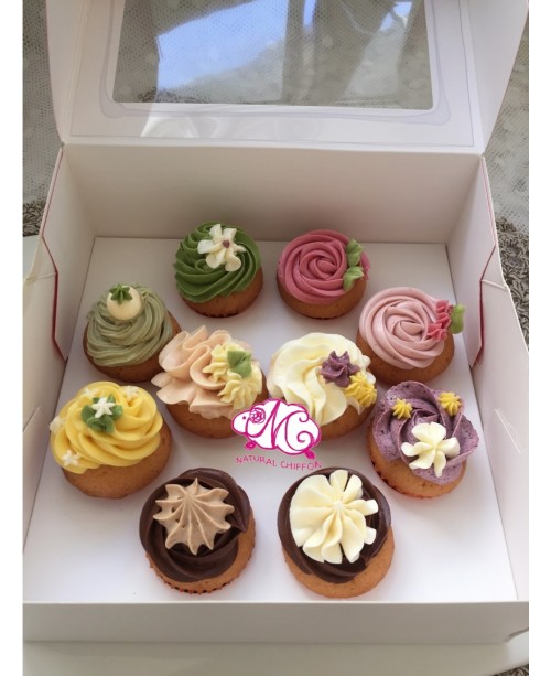 雜錦輕量裝mini cupcake