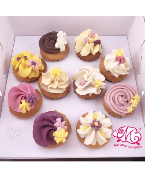 雜錦特選輕量裝mini cupcake