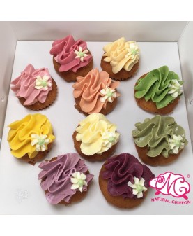 輕量裝彩虹mini cupcake