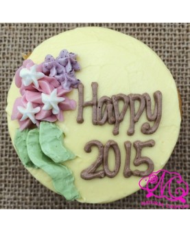 H2015 Cupcake