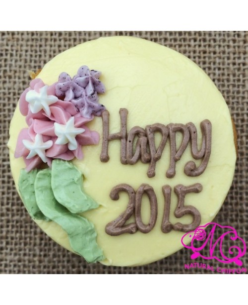 H2015 Cupcake