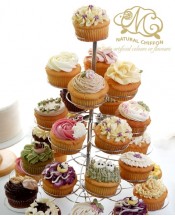 21款門市Cupcake